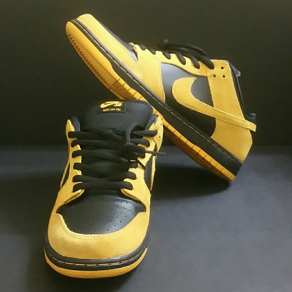 nike dunk iowa
